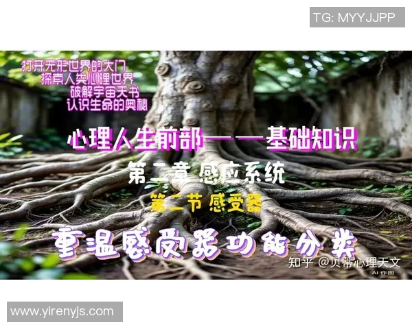 西安排球队技术表现分析与数据解读的深度探讨