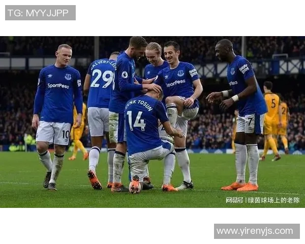 斯旺西对阵埃弗顿比赛分析及推荐策略分享