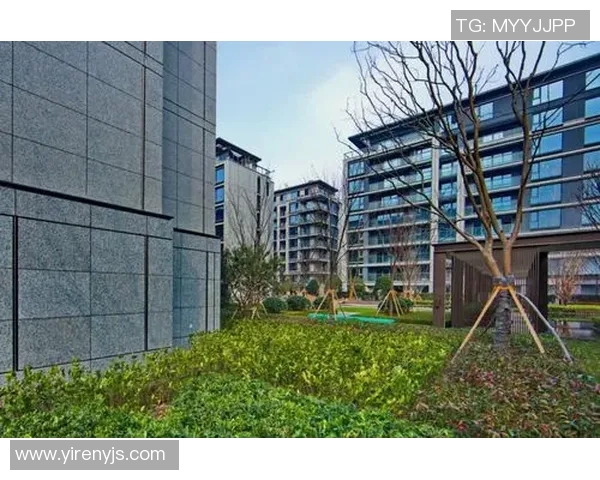 绿城与北控精彩对决视频回顾赛场瞬间尽在眼前