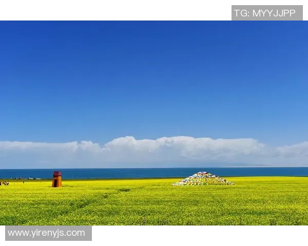 探索阿拉巴的历史文化与自然风光之美，感受独特魅力与人文底蕴