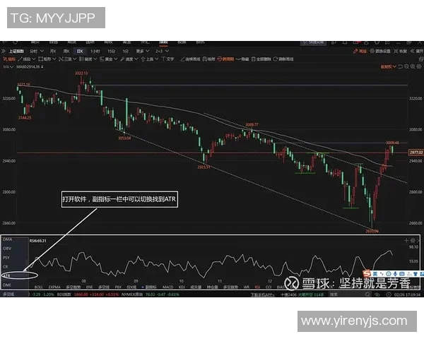 波动止损指标VS的实用技巧与应用分析探讨
