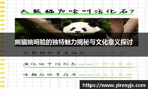 熊猫姚明脸的独特魅力揭秘与文化意义探讨